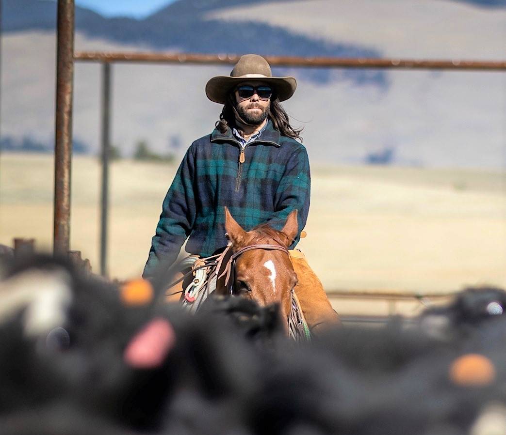 cowboy atop a horse herding cattle