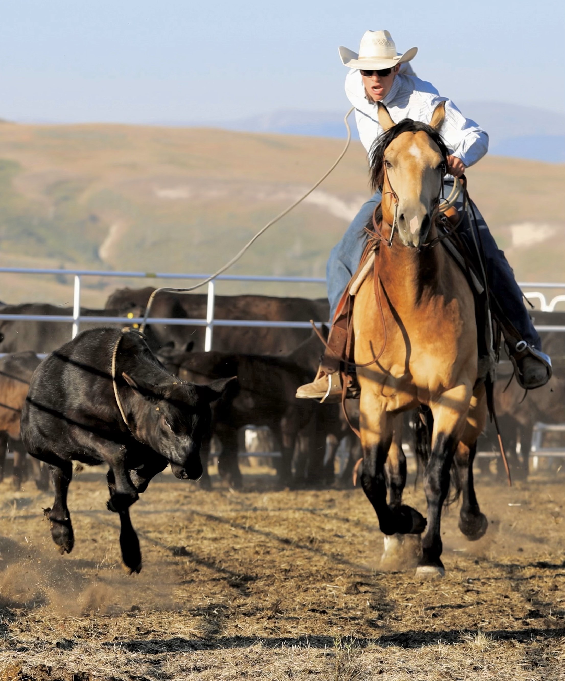 a man with a lasso on a horse