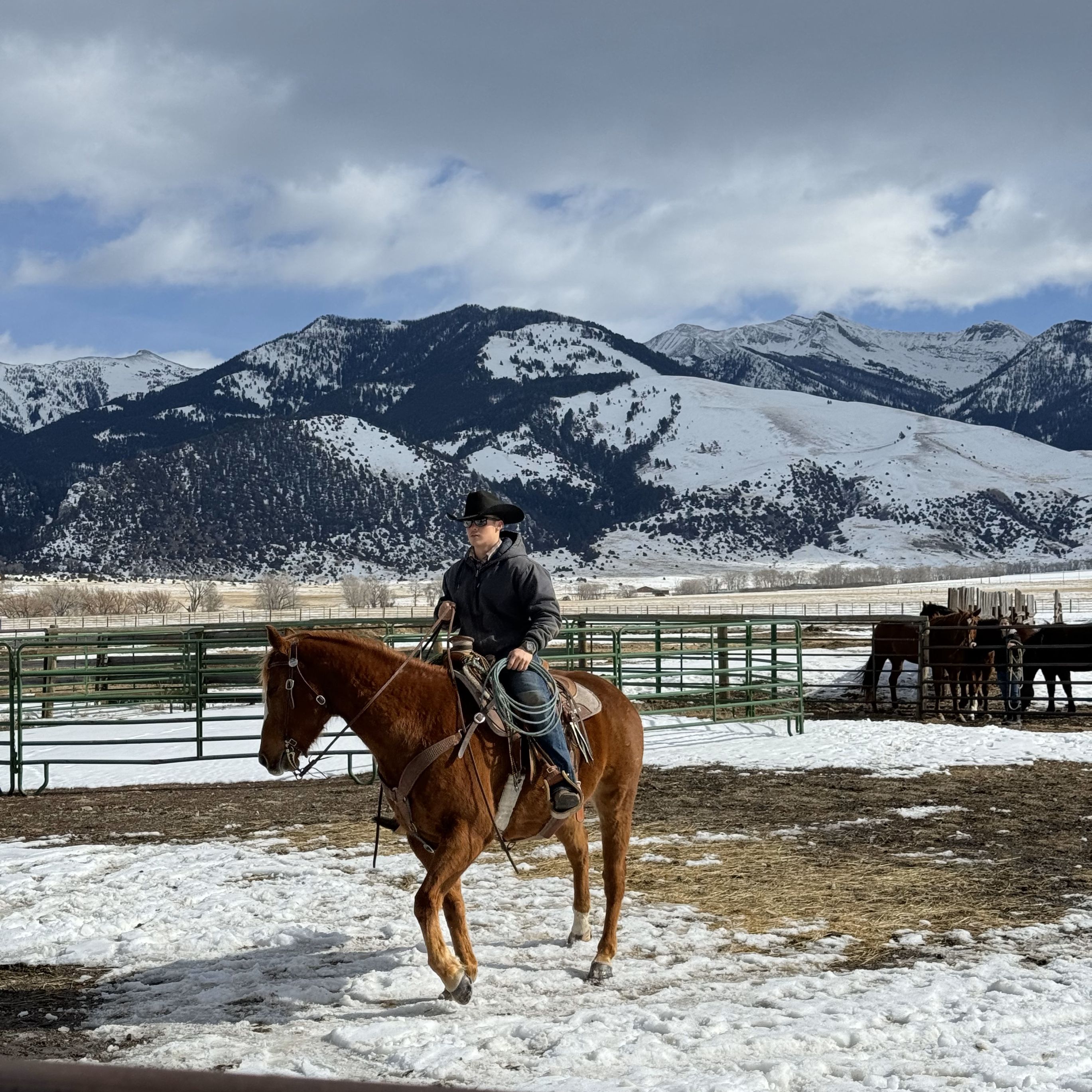 a young rancher on a horse in a paddock