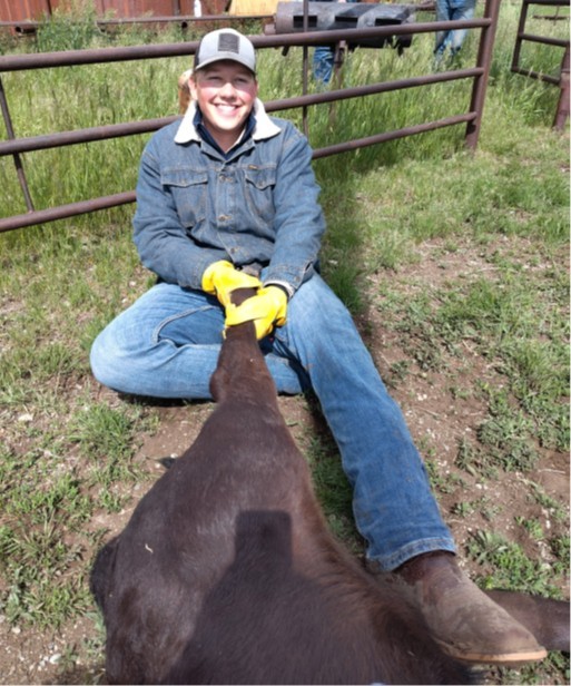 A young man in cap wrangling a calf