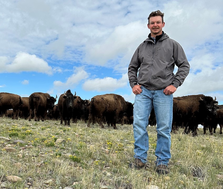 A man standing in front of a herd of bison