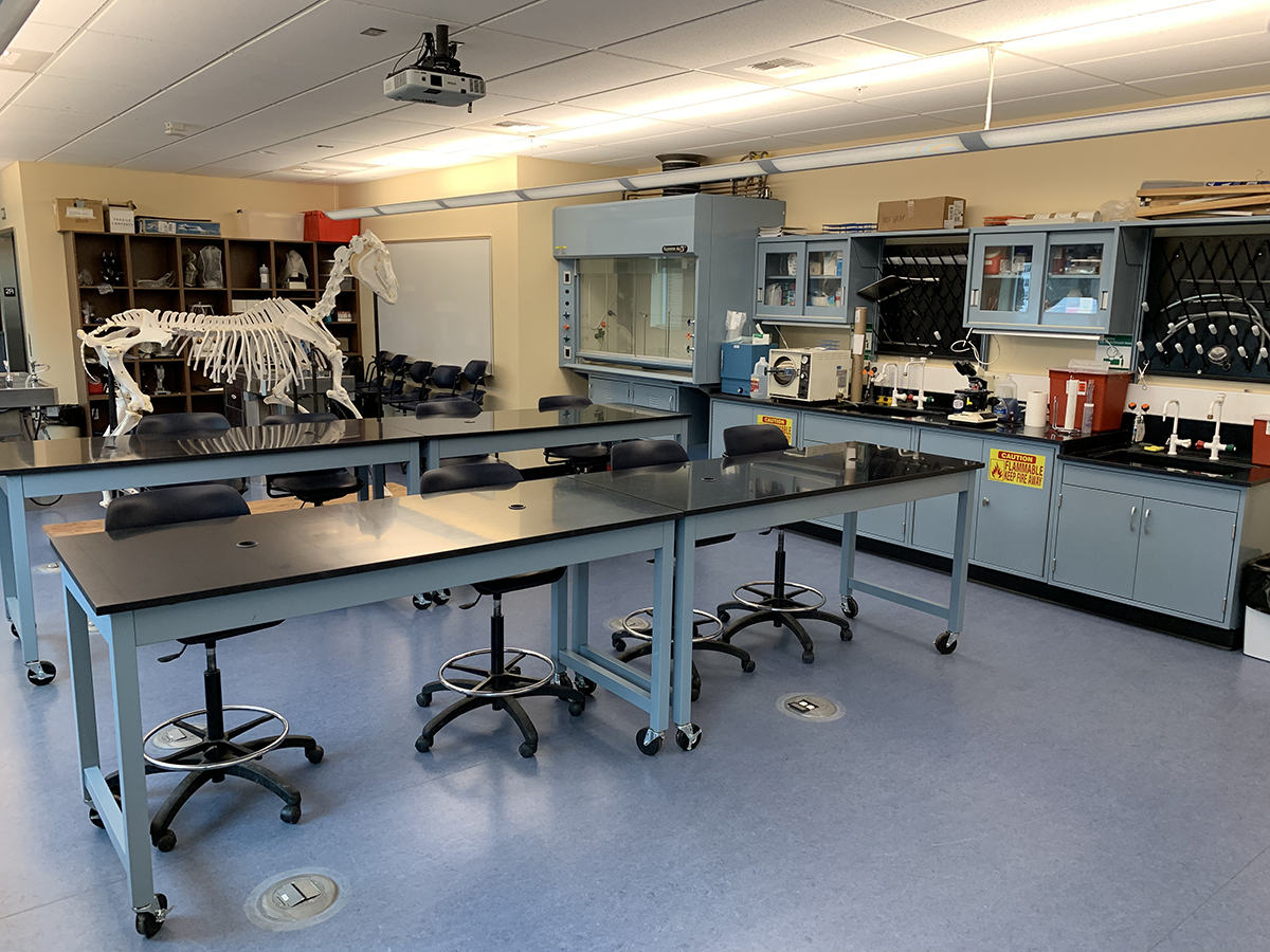 The Equine Lab on the second floor of the Animal Biosciences Building.