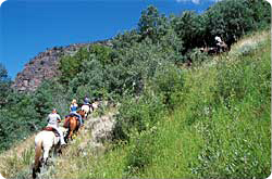 Horse trail