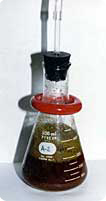 Filled Erlenmeyer flask