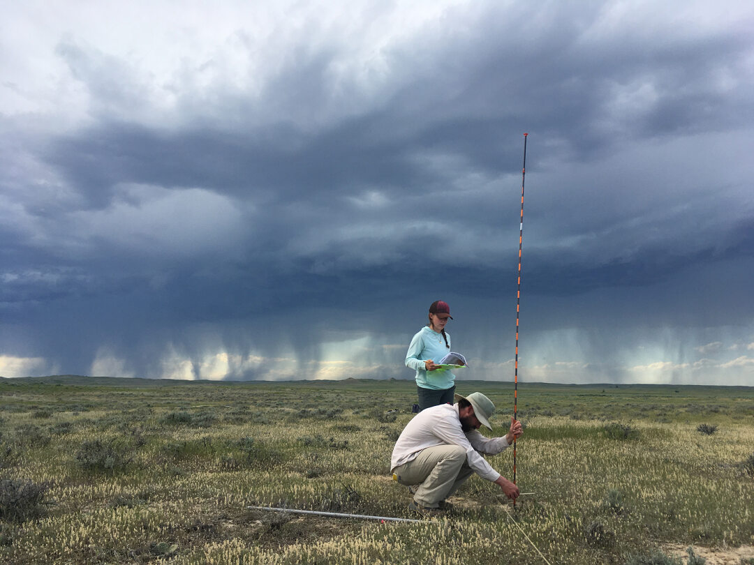 man and woman in the field doing research