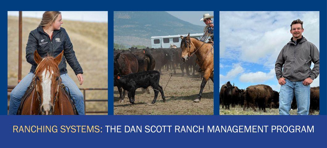 Student on a horse, student roping cattle, student in front of a herd of bison