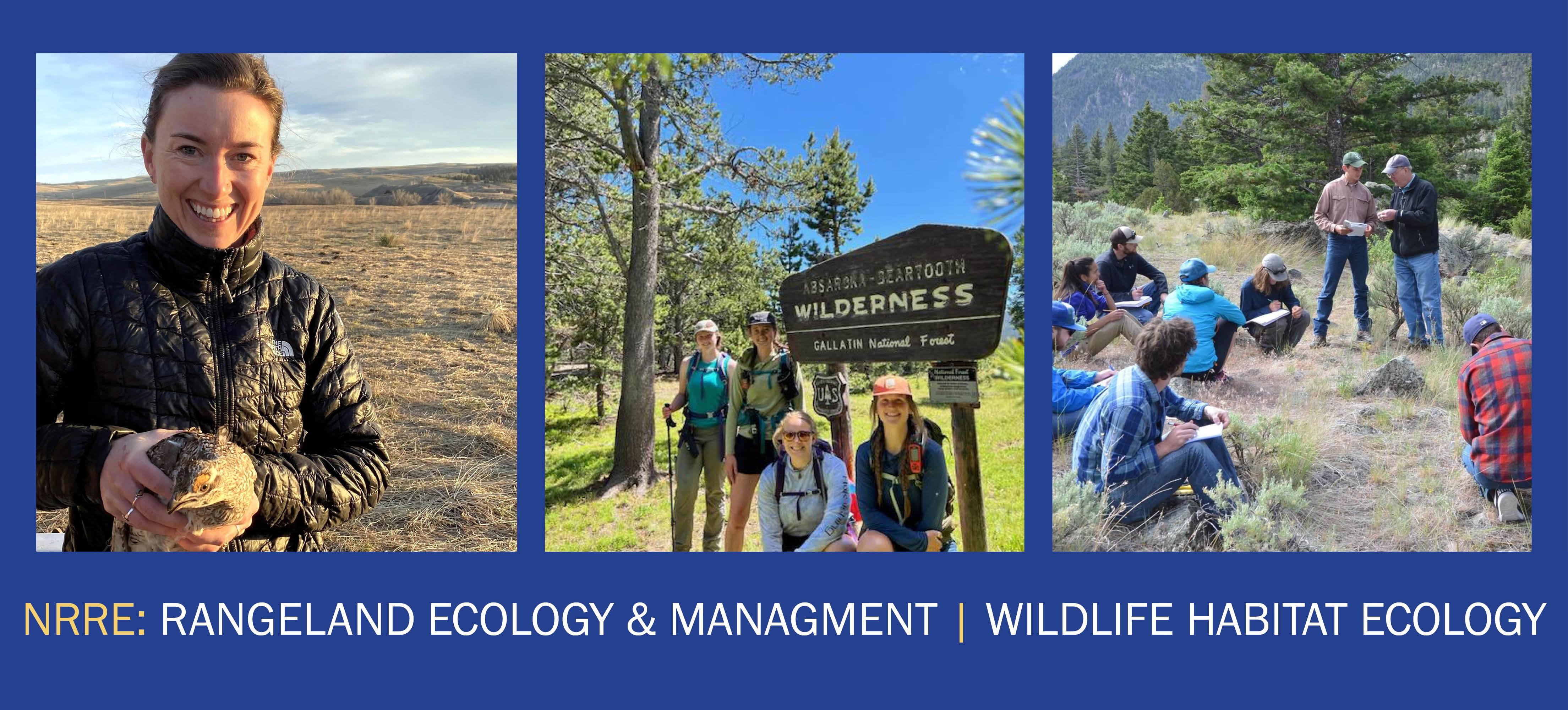 Student holding a grouse, students in the Absorookas, students attending outdoor class