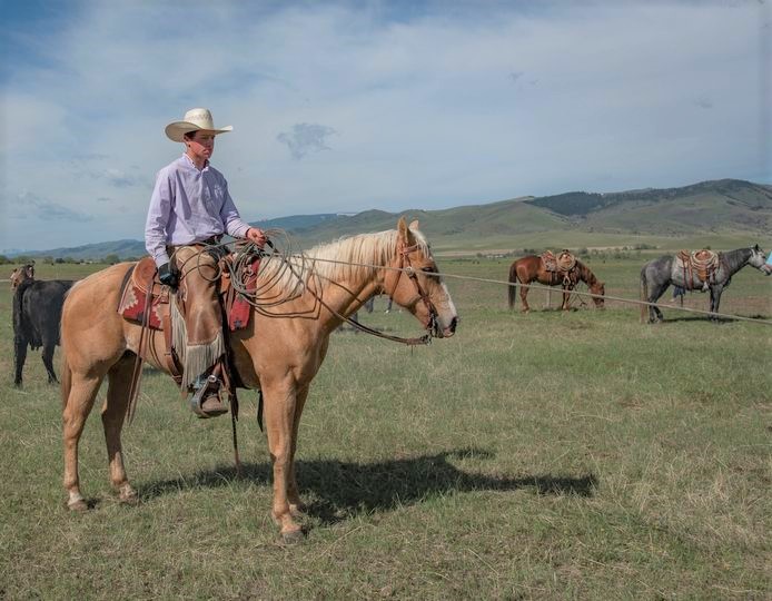 A cowboy on horseback 