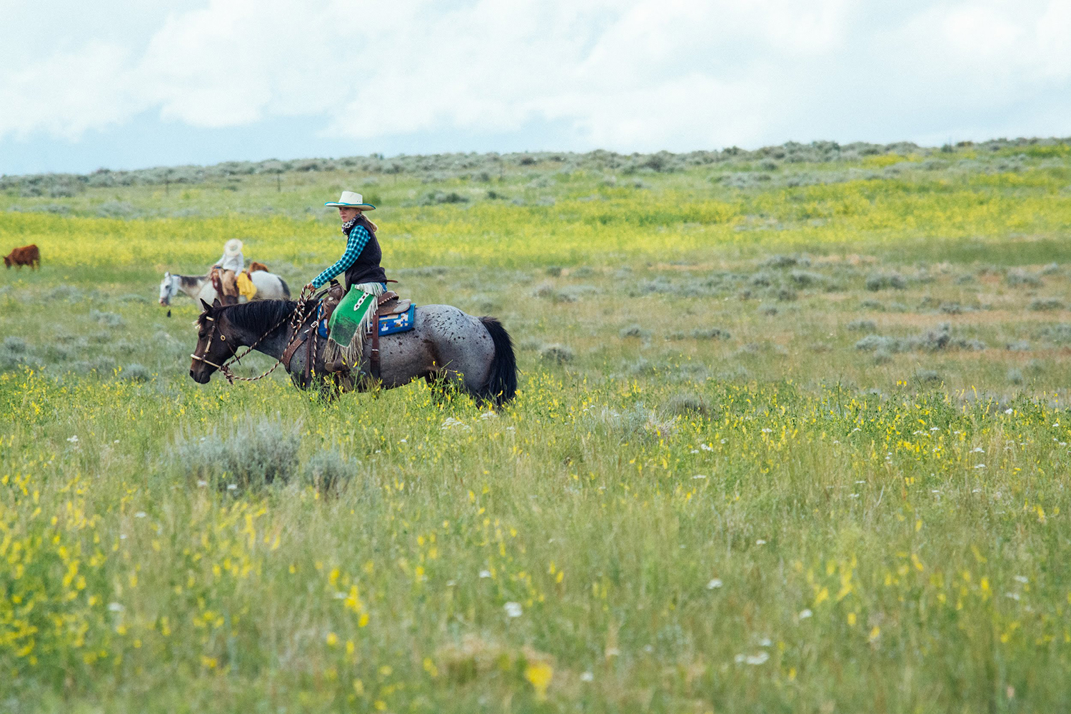 Young woman riding horseback on the range moving cattle.