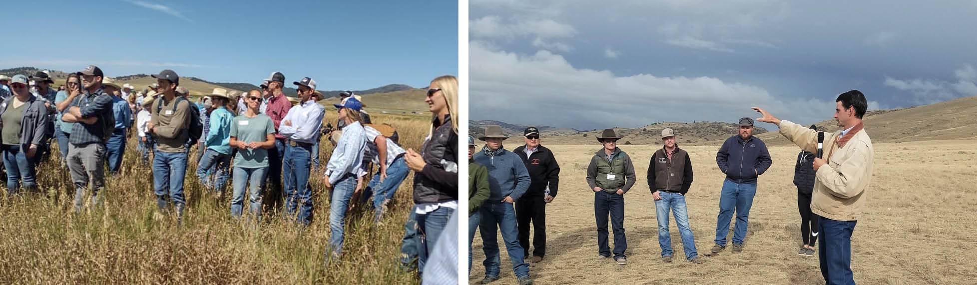 Groups of people taking a tour of rangeland