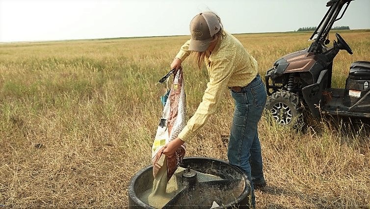 a young woman wearing a baseball cap is emptying minerals into a feeder. She is on a farm with an ATV behind her.