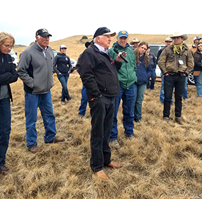 Field tour of Red Bluff 