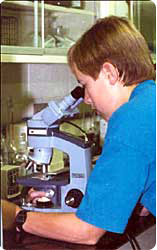 Student Looking into Microscope