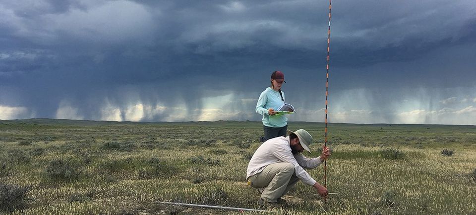 man and woman scientists in a field doing research