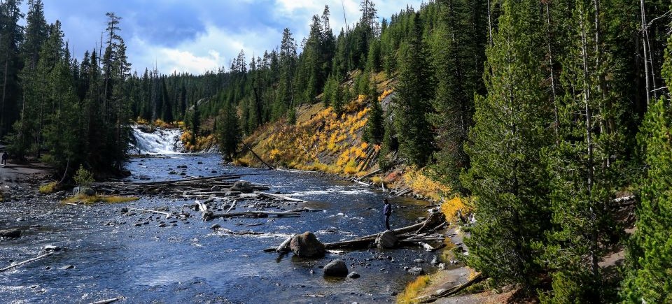 greater yellowstone ecosystem