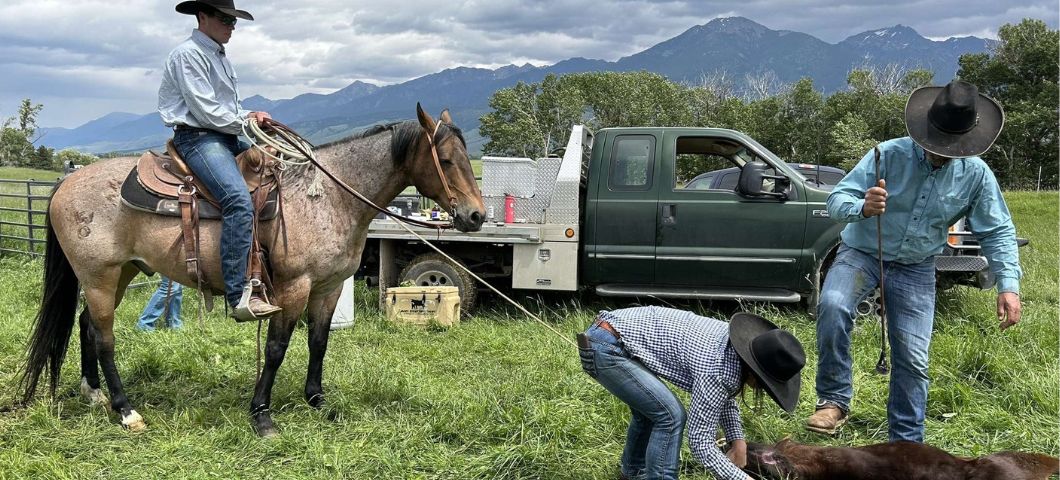 students calf roping