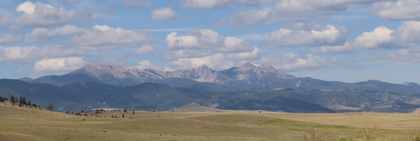 rangeland field in montana
